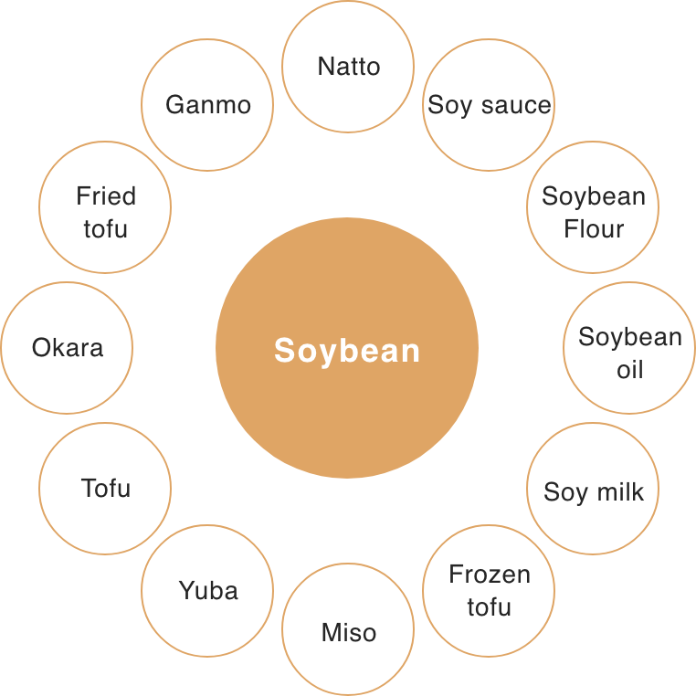 每日攝取大豆食品的重要性