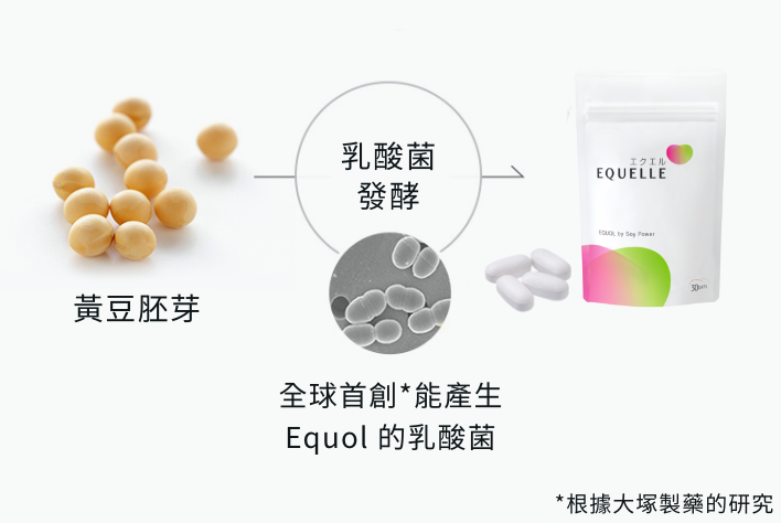 Equol 發酵流程